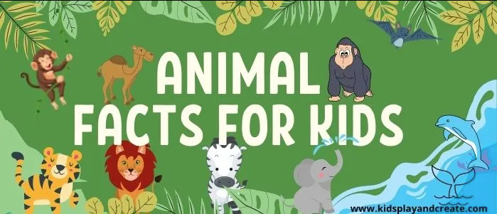 Amazing Animal Facts for Kids! Blank Meme Template