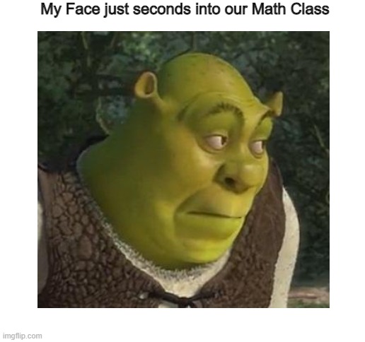 Math is Great | My Face just seconds into our Math Class | image tagged in shrek,shrek is life,shrek is love | made w/ Imgflip meme maker