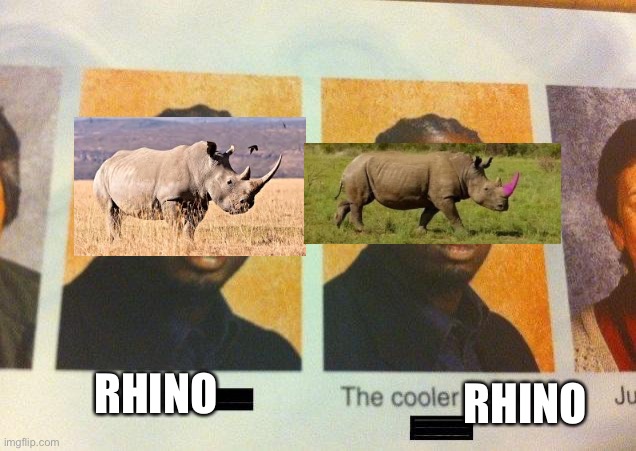 Rhino | RHINO; RHINO | image tagged in the cooler daniel | made w/ Imgflip meme maker