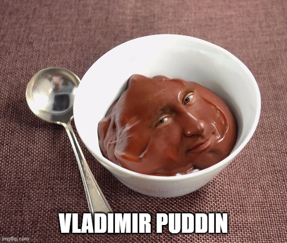 dont tell me this isn't true | VLADIMIR PUDDIN | image tagged in funny memes | made w/ Imgflip meme maker