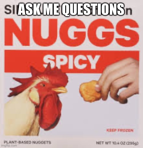 Nuggs | ASK ME QUESTIONS | image tagged in nuggs | made w/ Imgflip meme maker