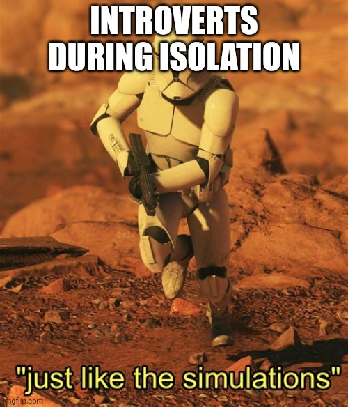 Exactly the same | INTROVERTS DURING ISOLATION | image tagged in it's just like the simulations | made w/ Imgflip meme maker