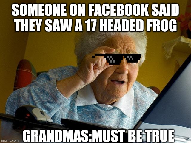 Gullible | SOMEONE ON FACEBOOK SAID THEY SAW A 17 HEADED FROG; GRANDMAS:MUST BE TRUE | image tagged in memes,grandma finds the internet | made w/ Imgflip meme maker