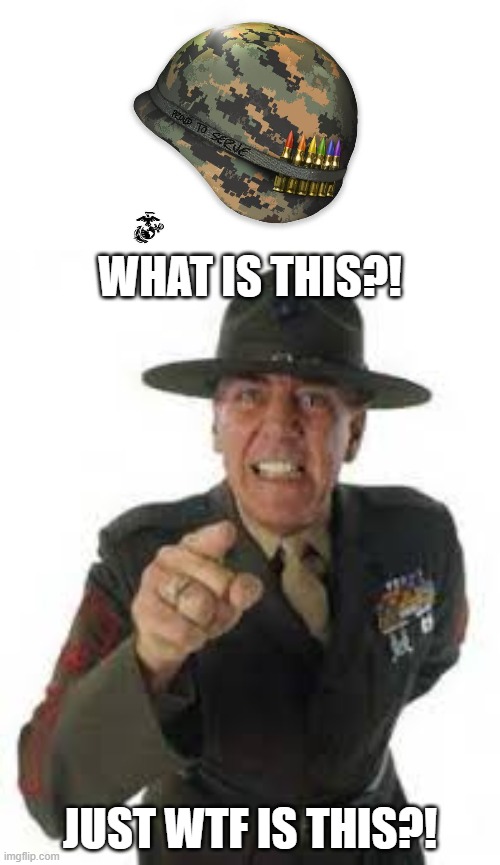 If Gunny Were Alive Today... | WHAT IS THIS?! JUST WTF IS THIS?! | image tagged in gunny hartman,usmc,marine corps,mardetcgn9 | made w/ Imgflip meme maker