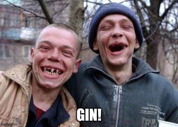 Ugly Twins Meme | GIN! | image tagged in memes,ugly twins | made w/ Imgflip meme maker