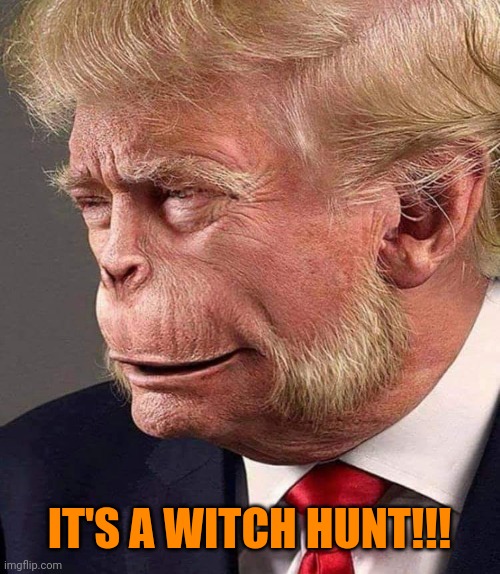 So simple a caveman could do it | IT'S A WITCH HUNT!!! | image tagged in planet of the trumps | made w/ Imgflip meme maker