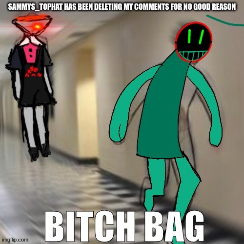 bitch bag | SAMMYS_TOPHAT HAS BEEN DELETING MY COMMENTS FOR NO GOOD REASON | image tagged in bitch bag | made w/ Imgflip meme maker