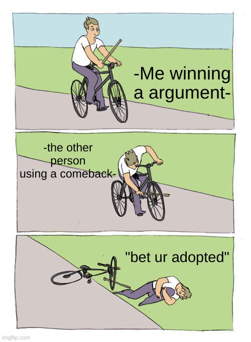 When you begin to win a argument: | -Me winning a argument-; -the other person using a comeback-; "bet ur adopted" | image tagged in memes,bike fall | made w/ Imgflip meme maker