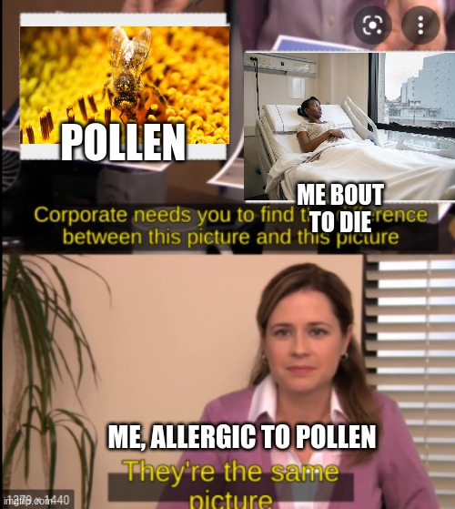 tell me the difference | POLLEN; ME BOUT TO DIE; ME, ALLERGIC TO POLLEN | image tagged in tell me the difference | made w/ Imgflip meme maker