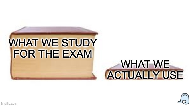 -_- | WHAT WE ACTUALLY USE; WHAT WE STUDY FOR THE EXAM | image tagged in big book small book | made w/ Imgflip meme maker