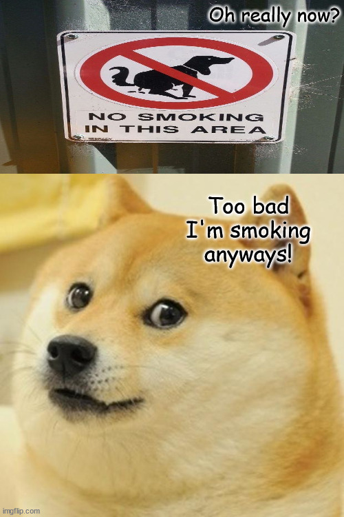 Doge Meme | Oh really now? Too bad I'm smoking anyways! | image tagged in memes,doge | made w/ Imgflip meme maker