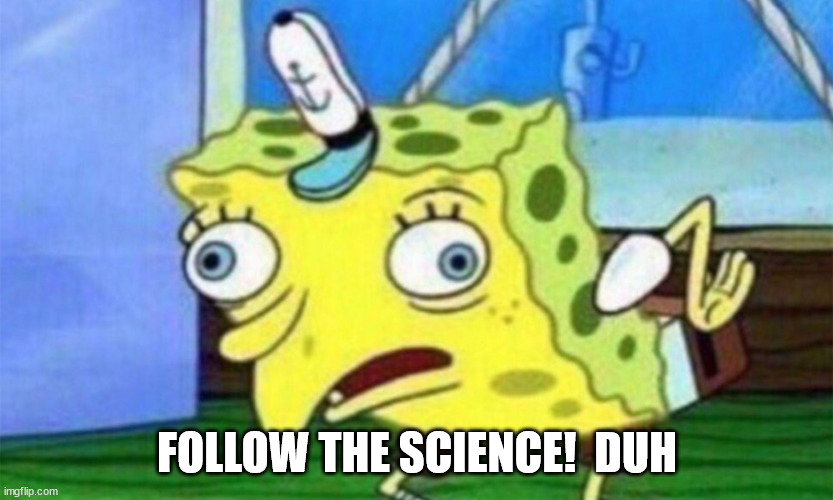 spongebob stupid | FOLLOW THE SCIENCE!  DUH | image tagged in spongebob stupid | made w/ Imgflip meme maker