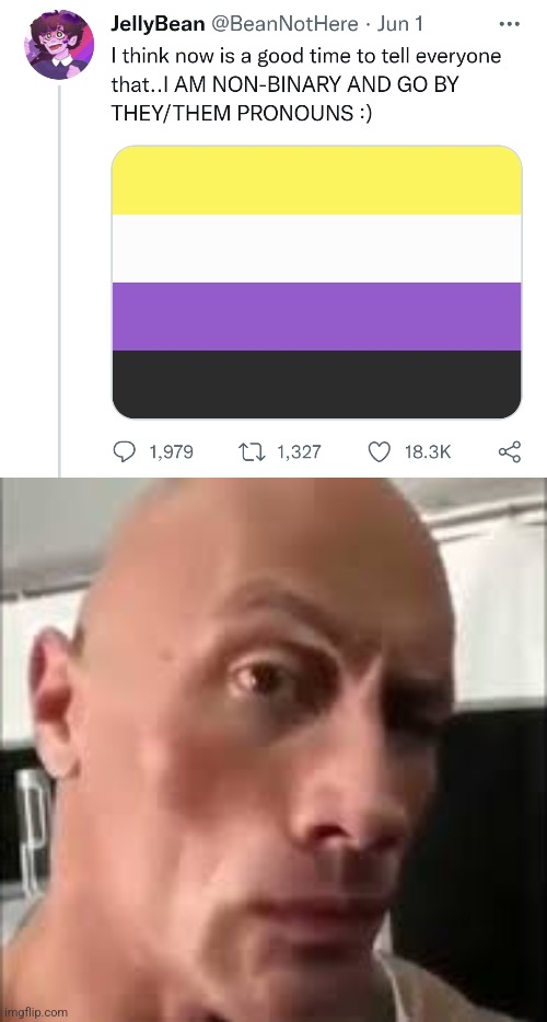 ? | image tagged in the rock sus,jellybean,non binary,wdym | made w/ Imgflip meme maker