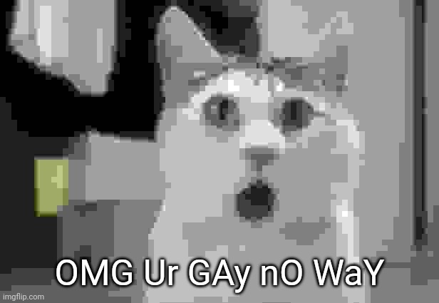 OMG Cat | OMG Ur GAy nO WaY | image tagged in memes,omg cat | made w/ Imgflip meme maker