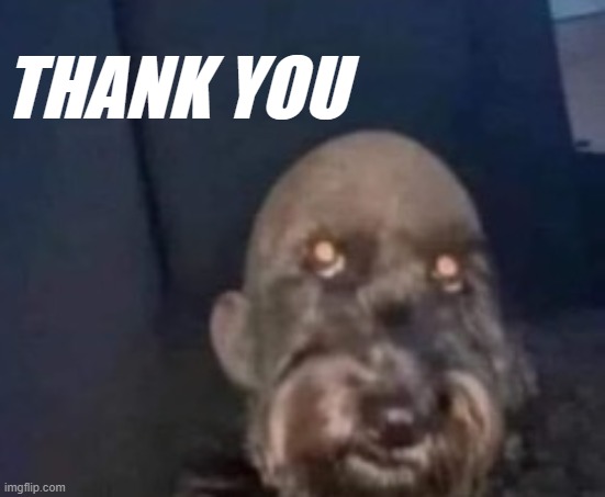 THANK YOU | made w/ Imgflip meme maker