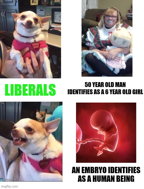 Happy angry chihuahua vertical | LIBERALS; 50 YEAR OLD MAN IDENTIFIES AS A 6 YEAR OLD GIRL; AN EMBRYO IDENTIFIES AS A HUMAN BEING | image tagged in happy angry chihuahua vertical | made w/ Imgflip meme maker