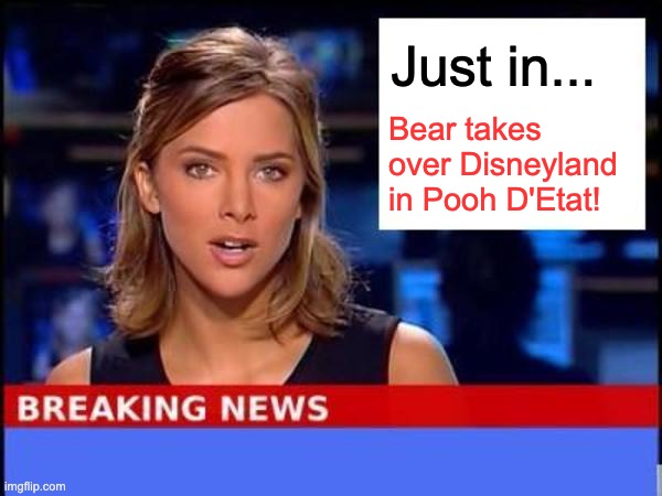 Bear | Just in... Bear takes over Disneyland in Pooh D'Etat! | image tagged in breaking news | made w/ Imgflip meme maker