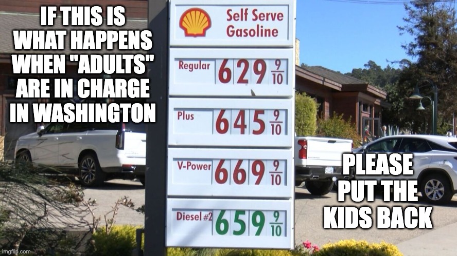 Bring In The Kids | IF THIS IS WHAT HAPPENS WHEN "ADULTS" ARE IN CHARGE IN WASHINGTON; PLEASE PUT THE KIDS BACK | image tagged in gas prices | made w/ Imgflip meme maker