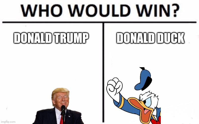 Who Would Win? | DONALD TRUMP; DONALD DUCK | image tagged in memes,who would win | made w/ Imgflip meme maker