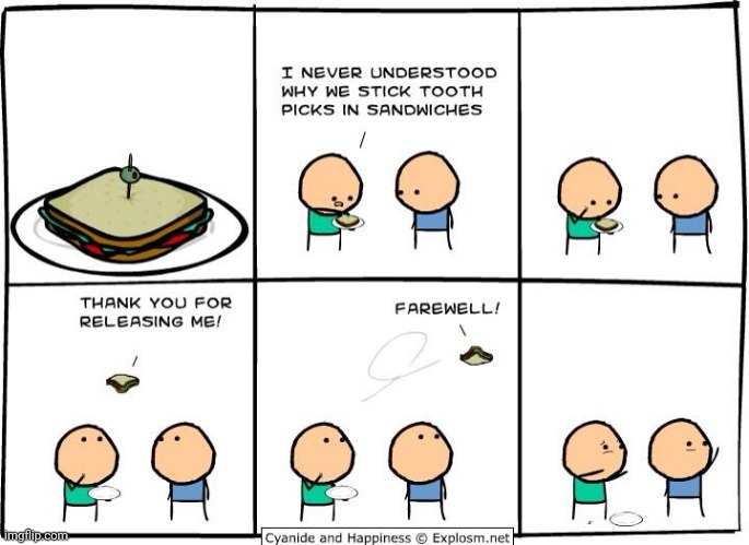 A fly sandwich | image tagged in cyanide and happiness,sandwich,sandwiches,comics,comic,comics/cartoons | made w/ Imgflip meme maker