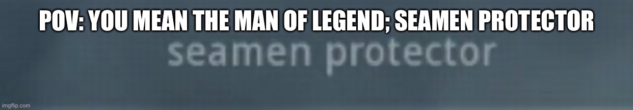 POV: YOU MEAN THE MAN OF LEGEND; SEAMEN PROTECTOR | made w/ Imgflip meme maker