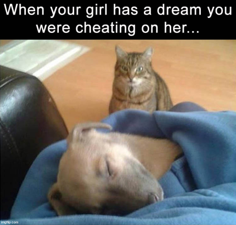 Watch what you do in her dreams. | image tagged in girlfriend,dreams | made w/ Imgflip meme maker