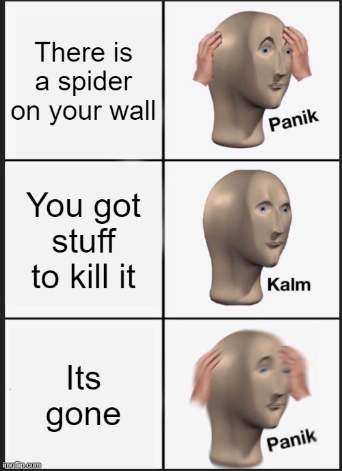 Panik Kalm Panik | There is a spider on your wall; You got stuff to kill it; Its gone | image tagged in memes,panik kalm panik | made w/ Imgflip meme maker