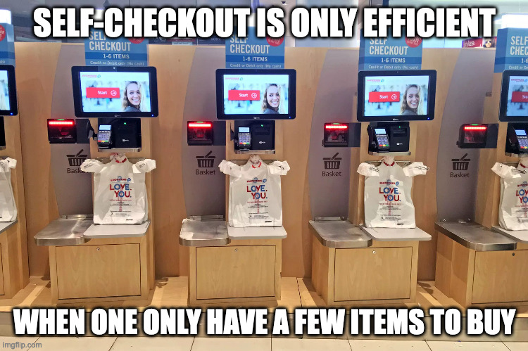 Self-Checkout | SELF-CHECKOUT IS ONLY EFFICIENT; WHEN ONE ONLY HAVE A FEW ITEMS TO BUY | image tagged in shopping,memes,checkout | made w/ Imgflip meme maker