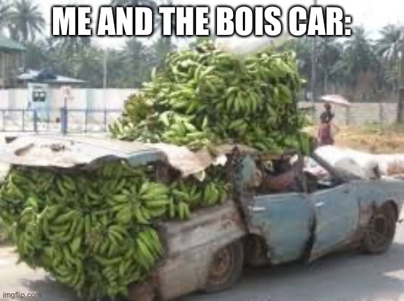 car full of bananas | ME AND THE BOIS CAR: | image tagged in car full of bananas | made w/ Imgflip meme maker