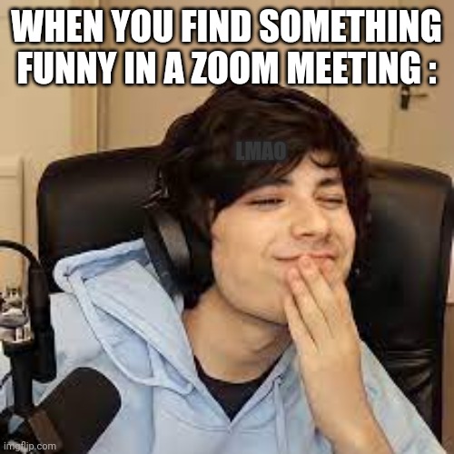 Lmfao | WHEN YOU FIND SOMETHING FUNNY IN A ZOOM MEETING :; LMAO | image tagged in georgenotfound | made w/ Imgflip meme maker