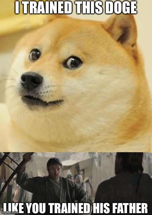 Owen Lars & Doge | I TRAINED THIS DOGE; LIKE YOU TRAINED HIS FATHER | image tagged in doge,owen lars like you trained his father,obi wan kenobi | made w/ Imgflip meme maker