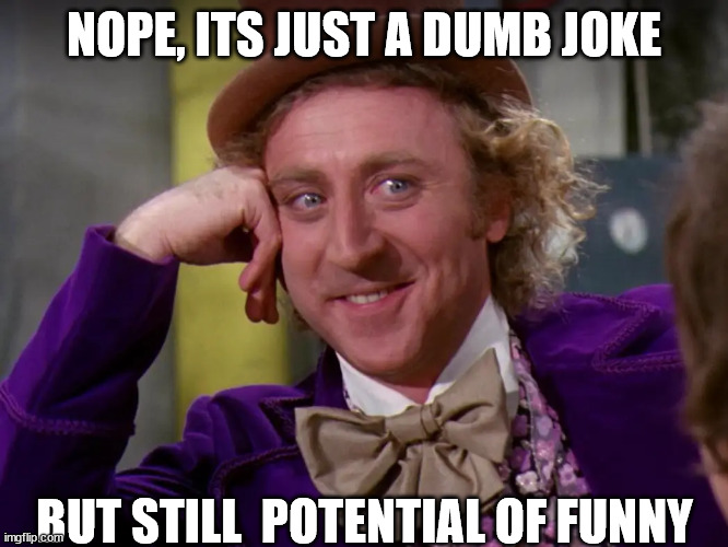 NOPE, ITS JUST A DUMB JOKE BUT STILL  POTENTIAL OF FUNNY | made w/ Imgflip meme maker