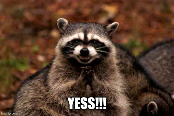 Evil Plotting Raccoon Meme | YESS!!! | image tagged in memes,evil plotting raccoon | made w/ Imgflip meme maker