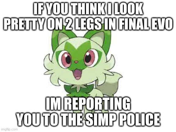 Blank White Template | IF YOU THINK I LOOK PRETTY ON 2 LEGS IN FINAL EVO; IM REPORTING YOU TO THE SIMP POLICE | image tagged in pokemon,cats | made w/ Imgflip meme maker