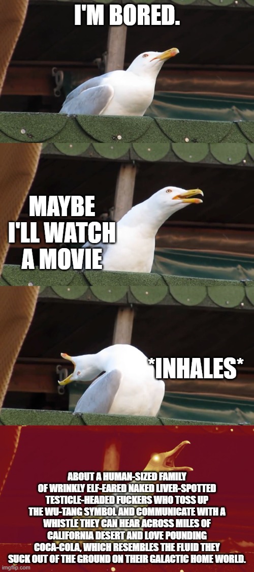 Laughing seagull | I'M BORED. MAYBE I'LL WATCH A MOVIE; *INHALES*; ABOUT A HUMAN-SIZED FAMILY OF WRINKLY ELF-EARED NAKED LIVER-SPOTTED TESTICLE-HEADED FUCKERS WHO TOSS UP THE WU-TANG SYMBOL AND COMMUNICATE WITH A WHISTLE THEY CAN HEAR ACROSS MILES OF CALIFORNIA DESERT AND LOVE POUNDING COCA-COLA, WHICH RESEMBLES THE FLUID THEY SUCK OUT OF THE GROUND ON THEIR GALACTIC HOME WORLD. | image tagged in laughing seagull | made w/ Imgflip meme maker