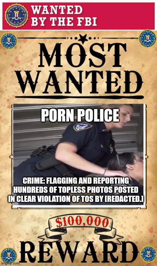 Disagreeing with [current thing] is a TOS violation. | P0RN POLICE; CRIME: FLAGGING AND REPORTING HUNDREDS OF TOPLESS PHOTOS POSTED IN CLEAR VIOLATION OF TOS BY [REDACTED.] | image tagged in fbi,p0rn police,enemies,of the state | made w/ Imgflip meme maker