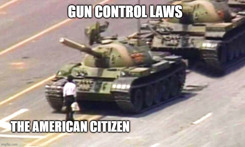 Gun Control | GUN CONTROL LAWS; THE AMERICAN CITIZEN | image tagged in politics,gun free zone,guns,gun control,gun laws,gun rights | made w/ Imgflip meme maker