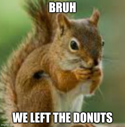 kdn;jkefje | BRUH; WE LEFT THE DONUTS | image tagged in kdn jkefje | made w/ Imgflip meme maker
