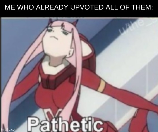 zero two pathetic | ME WHO ALREADY UPVOTED ALL OF THEM: | image tagged in zero two pathetic | made w/ Imgflip meme maker