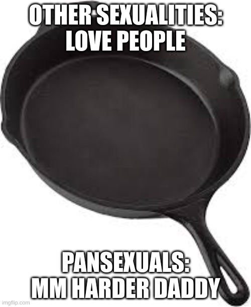Pansexuals will understand | OTHER SEXUALITIES: LOVE PEOPLE; PANSEXUALS: MM HARDER DADDY | image tagged in pansexuals will understand | made w/ Imgflip meme maker