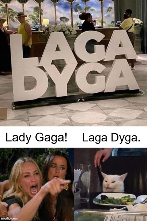 Gala Gady | Lady Gaga! Laga Dyga. | image tagged in memes,woman yelling at cat | made w/ Imgflip meme maker