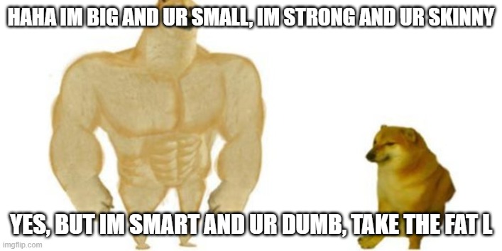 Doggo Roast | HAHA IM BIG AND UR SMALL, IM STRONG AND UR SKINNY; YES, BUT IM SMART AND UR DUMB, TAKE THE FAT L | image tagged in doggo roast | made w/ Imgflip meme maker