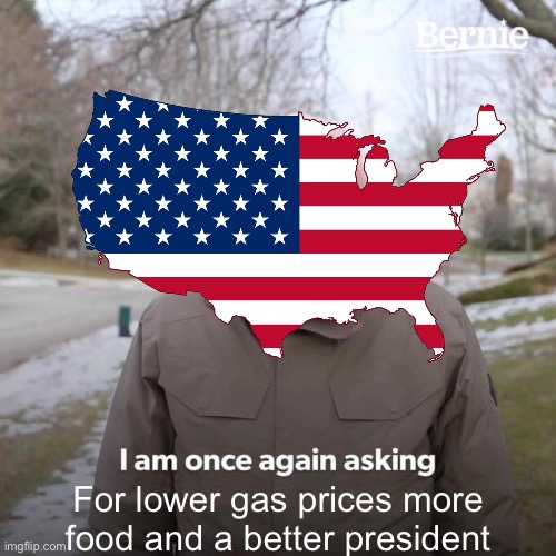 Bernie I Am Once Again Asking For Your Support | For lower gas prices more food and a better president | image tagged in memes,bernie i am once again asking for your support | made w/ Imgflip meme maker