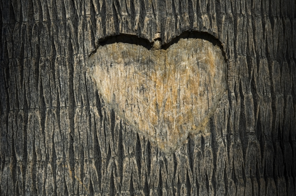 Tree Heart Carving Blank Meme Template
