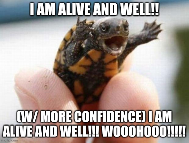 Happy turtle | I AM ALIVE AND WELL!! (W/ MORE CONFIDENCE) I AM ALIVE AND WELL!!! WOOOHOOO!!!!! | image tagged in happy baby turtle,alive,well,yay | made w/ Imgflip meme maker