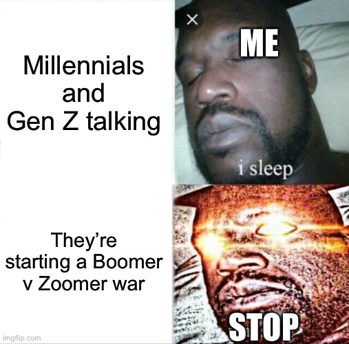 Stop this war. It’s annoying | ME; Millennials and Gen Z talking; They’re starting a Boomer v Zoomer war; STOP | image tagged in memes,sleeping shaq | made w/ Imgflip meme maker