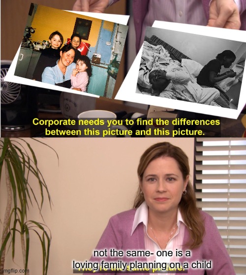 They're The Same Picture Meme | not the same- one is a loving family planning on a child | image tagged in memes,they're the same picture | made w/ Imgflip meme maker