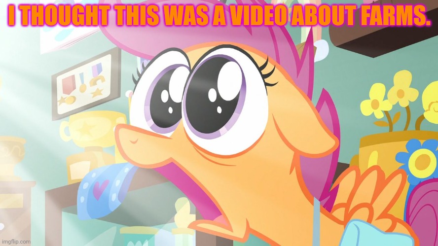 Shocked Scootaloo | I THOUGHT THIS WAS A VIDEO ABOUT FARMS. | image tagged in shocked scootaloo | made w/ Imgflip meme maker