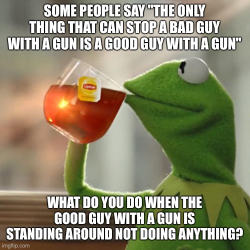 But That's None Of My Business Meme | SOME PEOPLE SAY "THE ONLY THING THAT CAN STOP A BAD GUY WITH A GUN IS A GOOD GUY WITH A GUN"; WHAT DO YOU DO WHEN THE GOOD GUY WITH A GUN IS STANDING AROUND NOT DOING ANYTHING? | image tagged in memes,but that's none of my business,kermit the frog | made w/ Imgflip meme maker