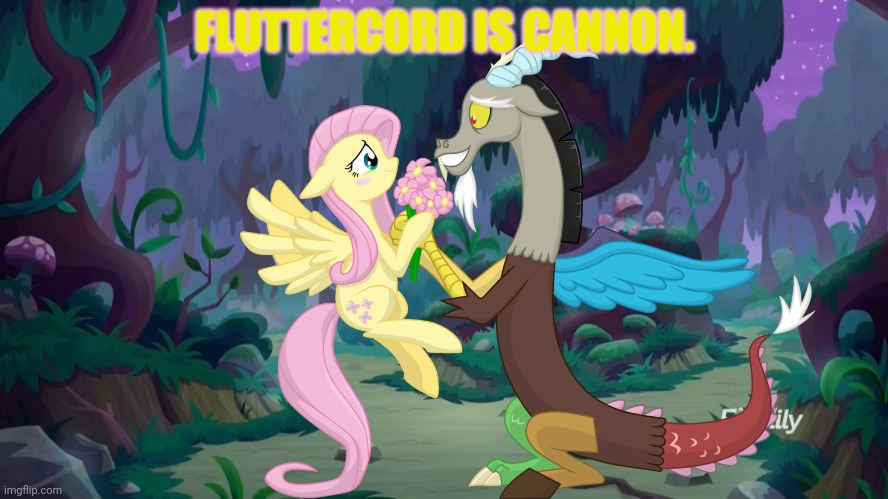 FLUTTERCORD IS CANNON. | made w/ Imgflip meme maker